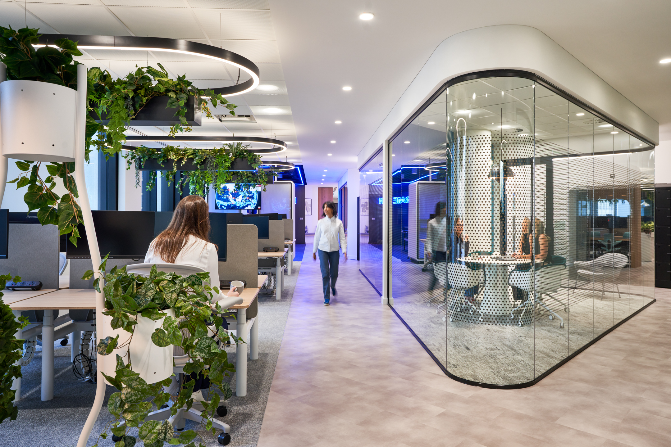 Workspace with hanging planters, focus desks and curved glass meeting pod at the Capital.com office, planting delivered through day two service.