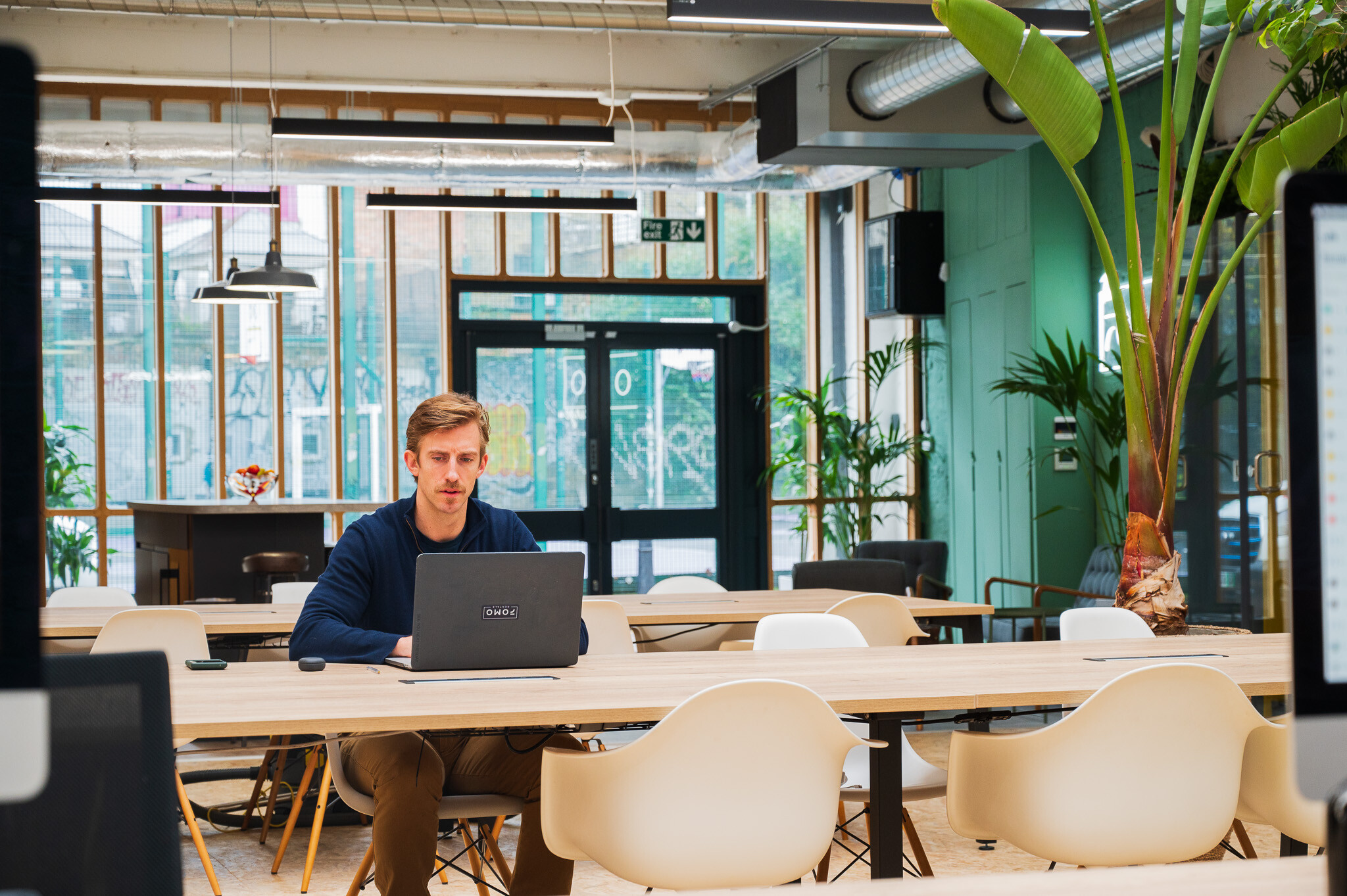 A professional workspace for FOMO Rentals designed by Two, featuring natural light, modern furniture, and vibrant greenery throughout the office.